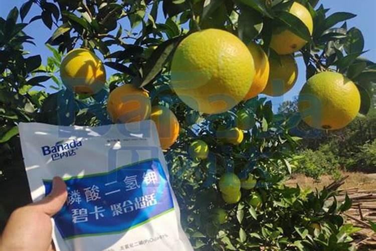 硝酸钾是什么,硝酸钾属于什么肥料