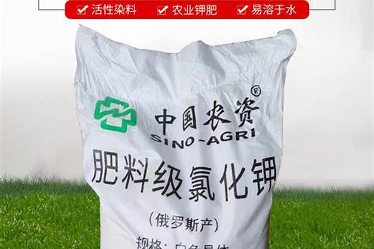 小白菜多久浇水一次 小白菜每隔几天需浇水？