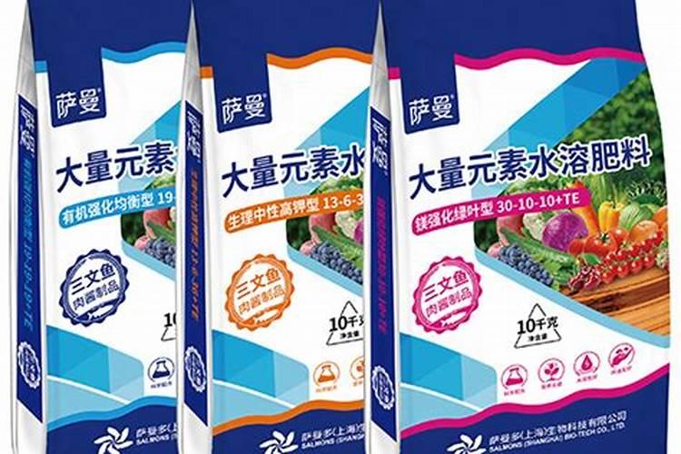 柑橘黄化原因分析及防治方案