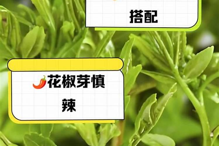 花椒树几月份施肥最佳
