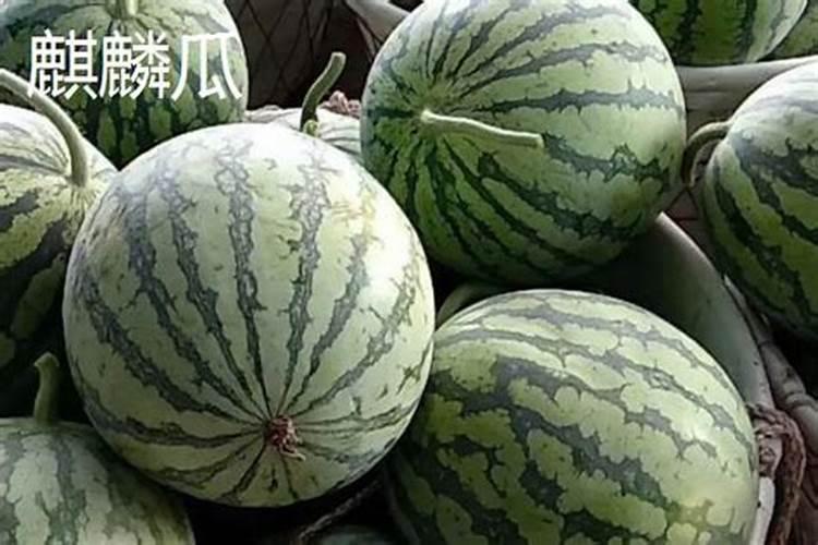 西瓜用什么肥料最好