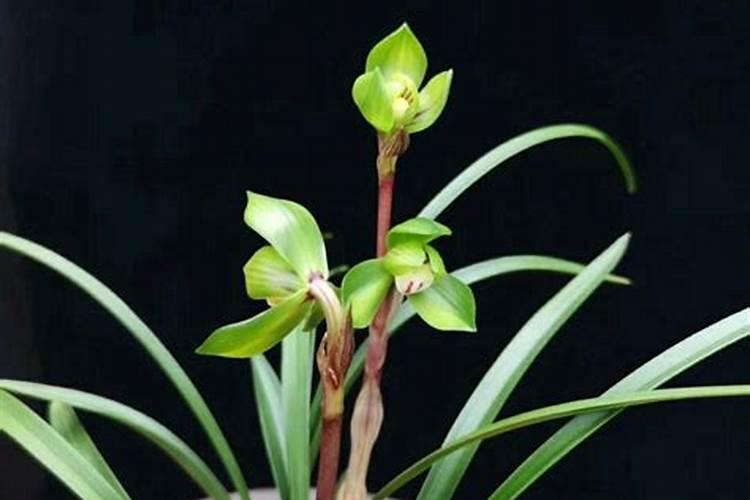 外墙腻子有哪些厂家