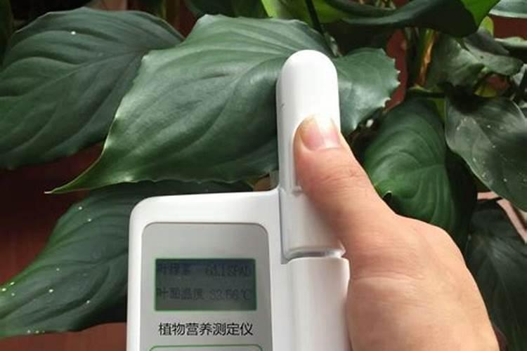 甲醛法测定铵态氮肥的原理是？