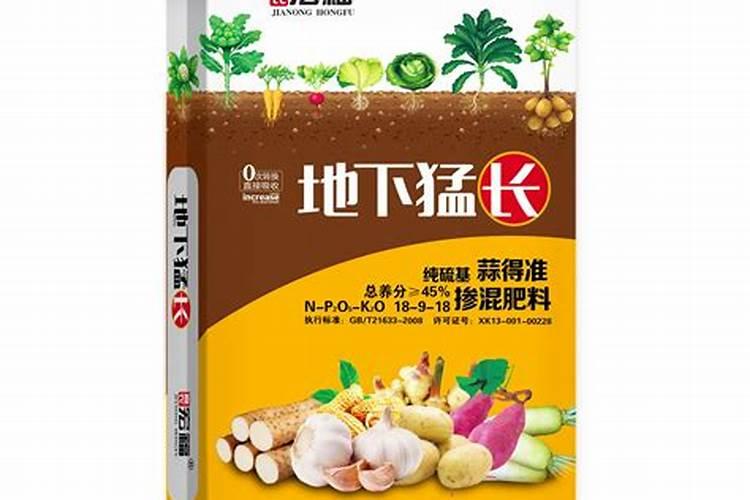 发财树夏天怎么浇水施肥