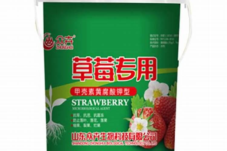 发财树夏天可以施肥吗,发财树夏天怎么施肥(半个月一次)