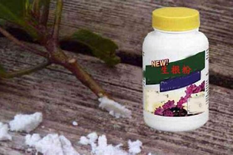 阳台种菜施什么肥好