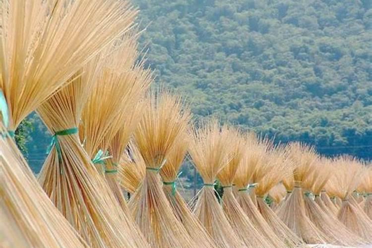 樱花烟机那个是正品