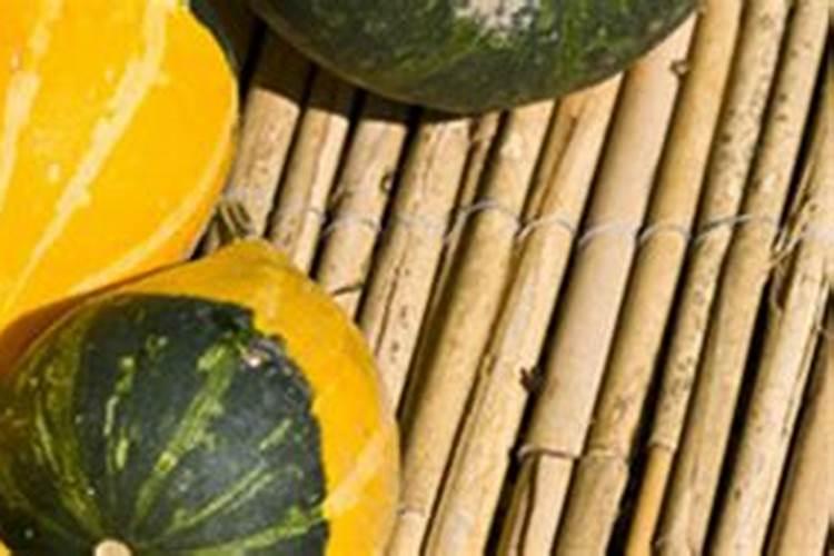 南瓜叶大量变黄怎么办