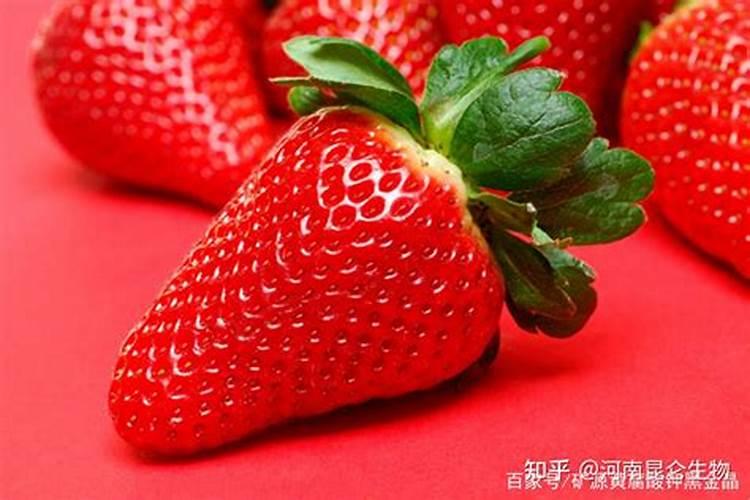 草莓什么时候冲高钾肥？草莓用什么水溶肥？