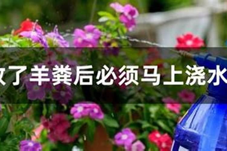 种花需要肥料,请问什么是磷肥、什么是氮肥、什么是钾肥？