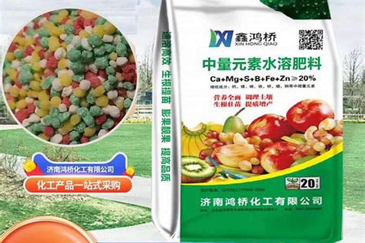 变温催芽的目的是什么？如何进行茄子变温催芽？