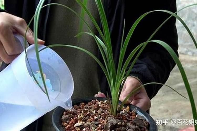 哪些蔬菜化肥不能混施,蔬菜不能混施的化肥有什么