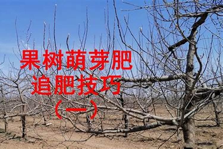 同样是矿源黄腐酸钾为什么价格差距这么大呢？