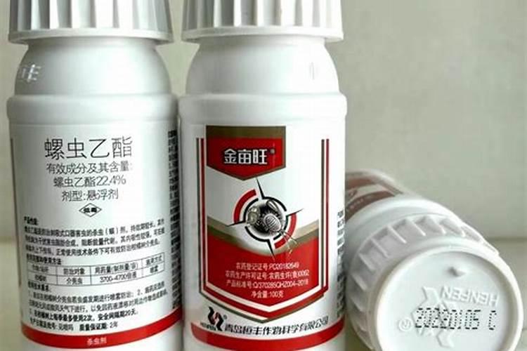 金弹子如何浇水施肥