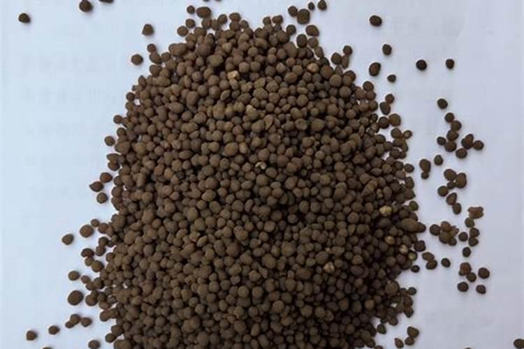 郑州大学食堂哪个好吃？