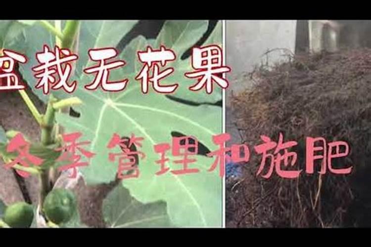 芒硝结块怎么成粉末