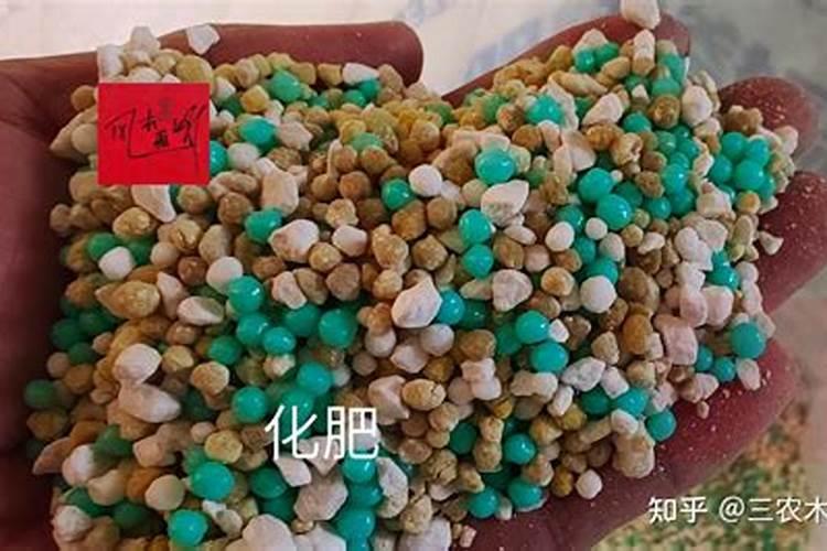 有机氮肥和无机氮肥的区别