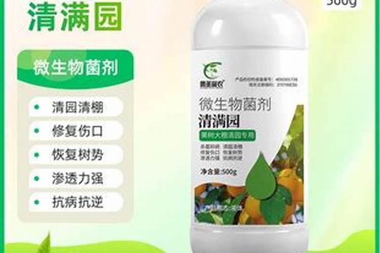 枣树施肥时间