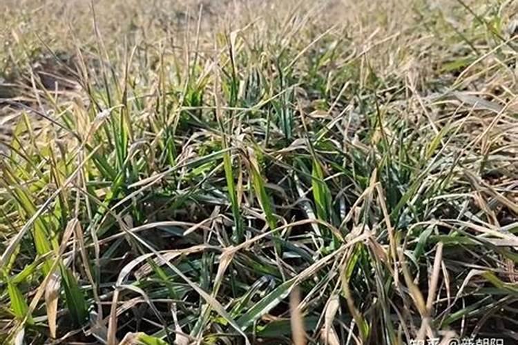 正常情况下酱油钠含量标准是多少