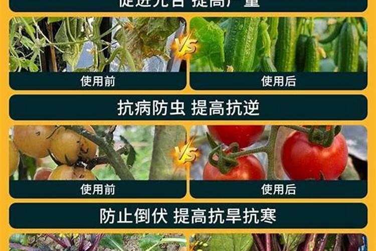 宜地施硝酸铵钙是杂牌吗