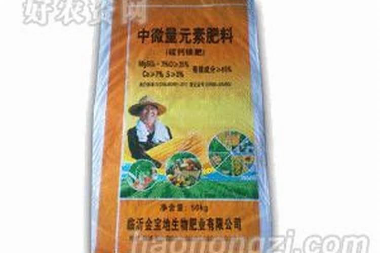 玉米用什么肥料能高产