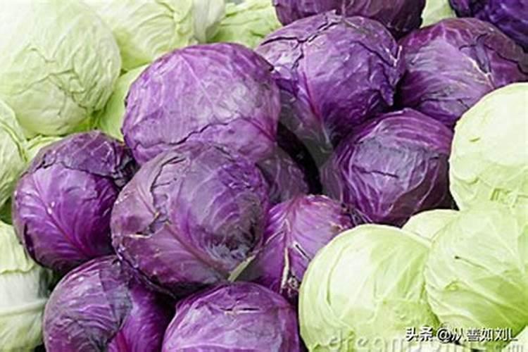 黑豆的养殖方法和注意事项