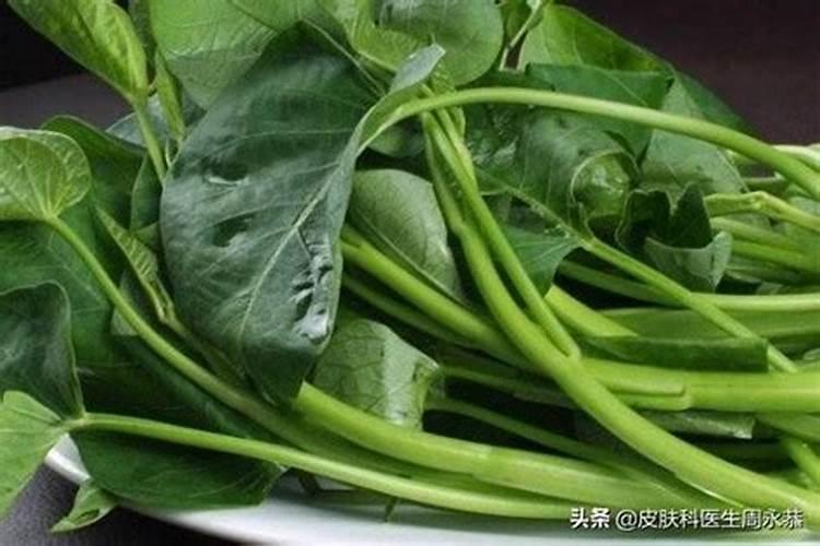 种辣椒用什么肥料比较好