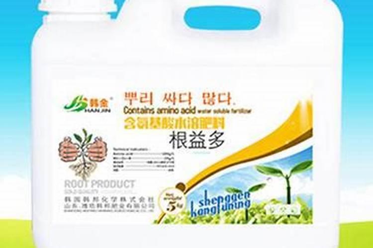 怎么用矿泉水瓶子种菜