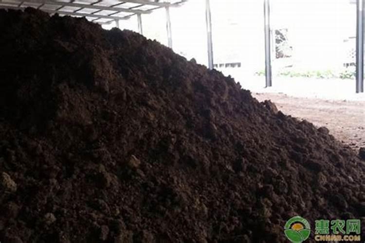 阳光玫瑰葡萄苗出现最下面的叶子大小正常,往上叶子小还发白,这是怎么...