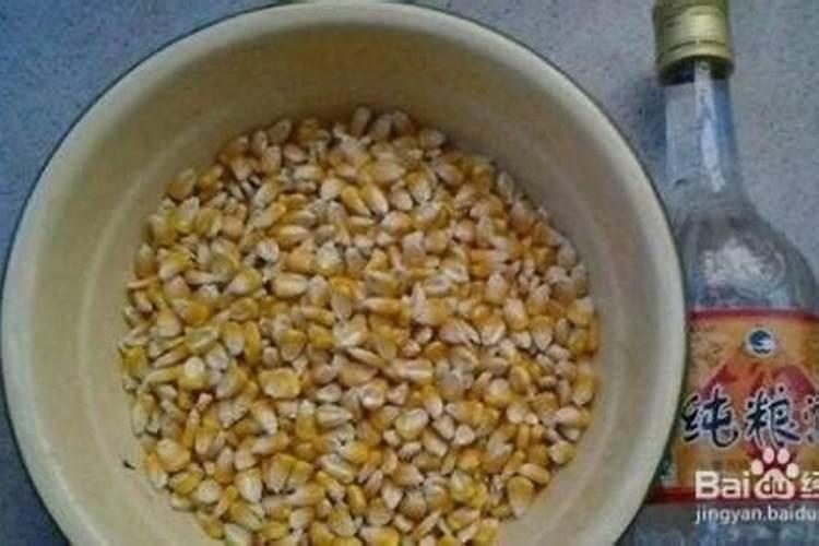 青储玉米需要什么肥料