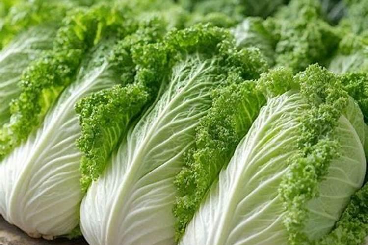 这个品种有种过的吗？产量什么样？