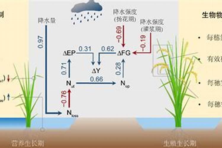 哪种叶面用的钙肥吸收好