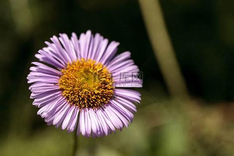 为什么打雷能使土壤肥沃