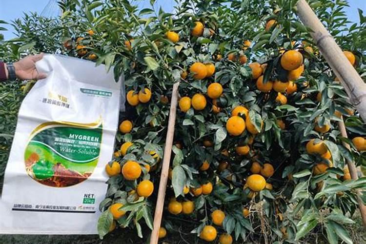 给线艺兰误施了镁肥应采取哪些朴救措施？