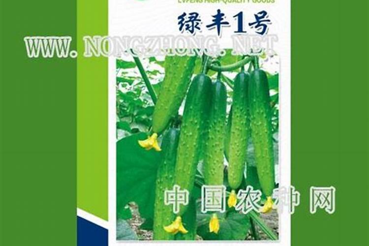 芒果使用什么化肥效果好