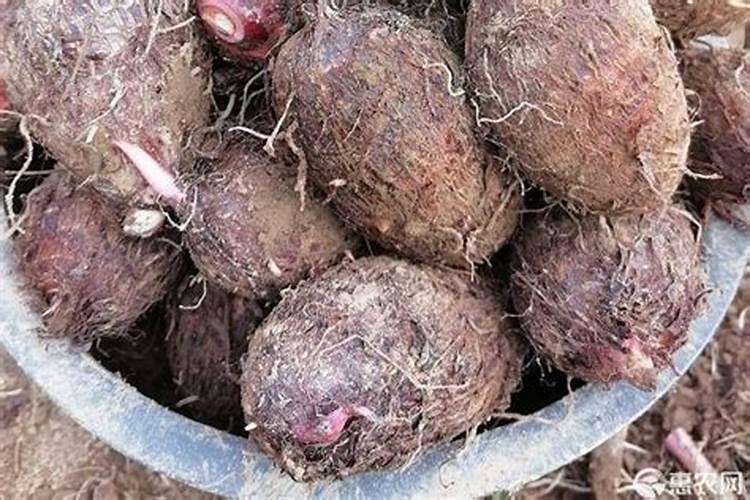 硝酸钾能使氯水变色吗