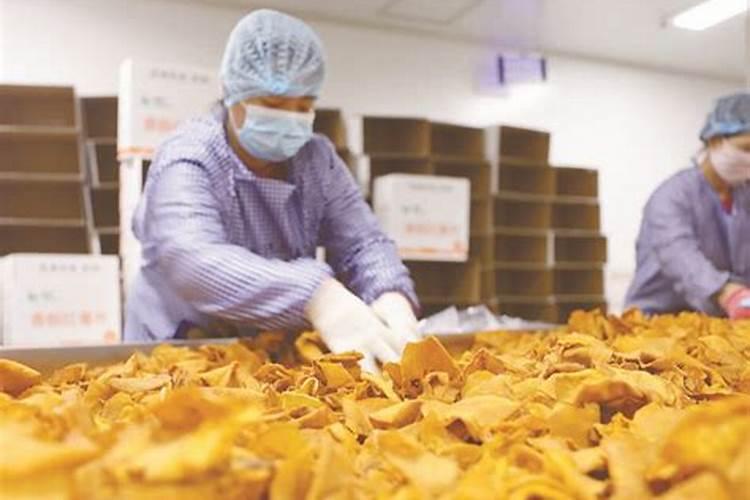 红薯专用配方肥选哪家？