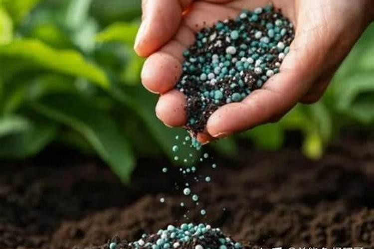 高羧基腐植酸钠采购渠道有哪些