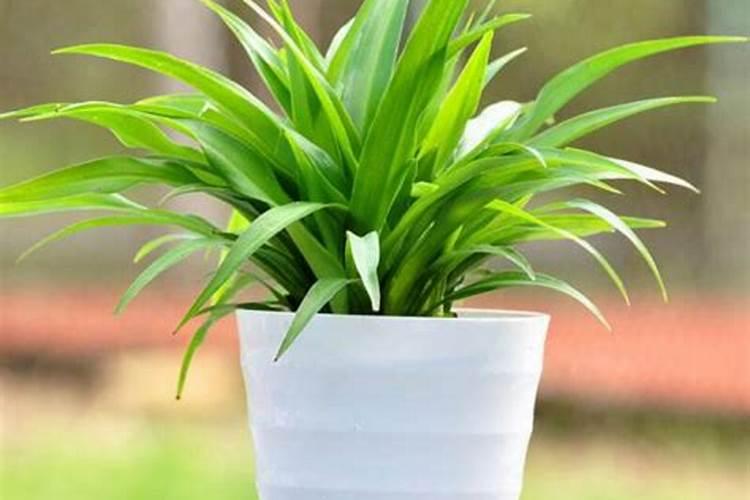 全国最大腐植酸生产厂家