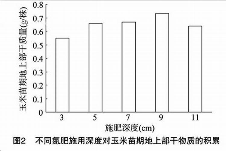 水稻苗期施肥