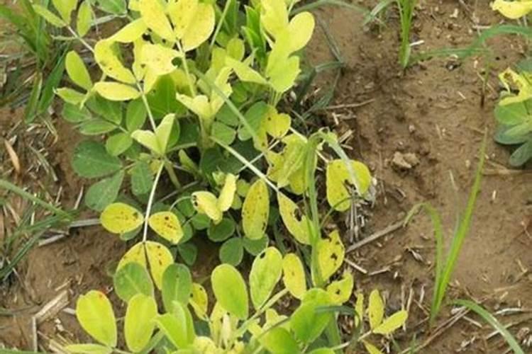 什么是液体的正平衡和负平衡？