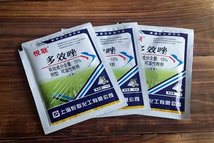 三角梅用什么肥料最好