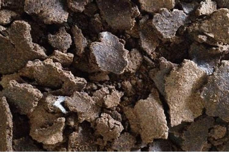 养花如何用饼肥