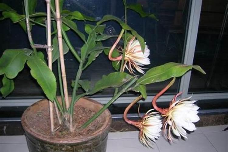 春天一般在几月份到持续多久