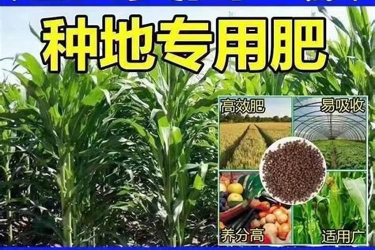 精喹禾灵能打什么作物