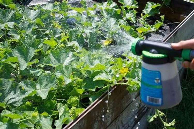 硫酸亚铁和磷酸二氢钾能一起用吗