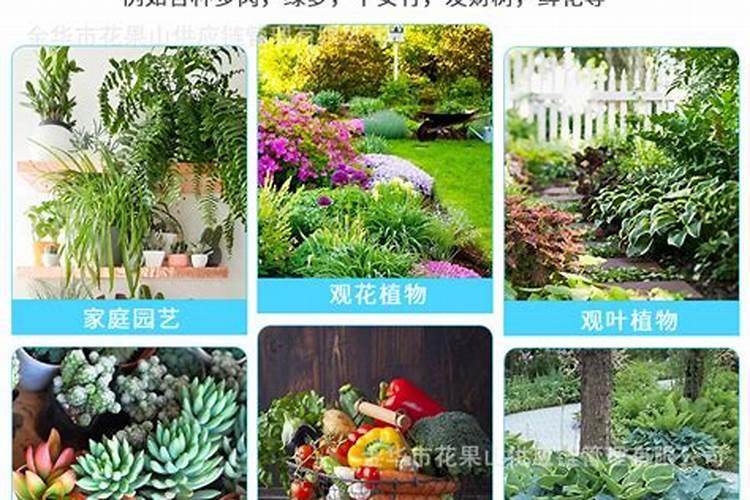 木醋液厂家直销