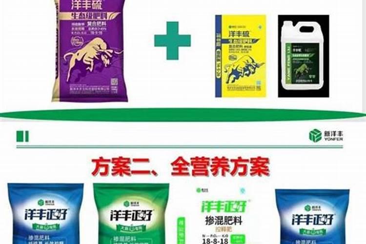 为衰老期期的果树应采用哪种施肥