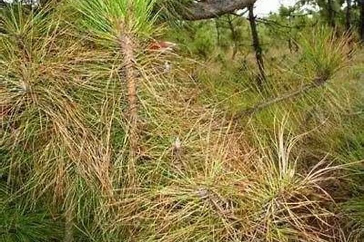 抑郁症心理测试方法