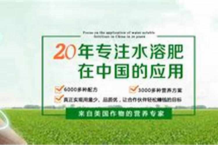 磷在棉花中起到什么作用